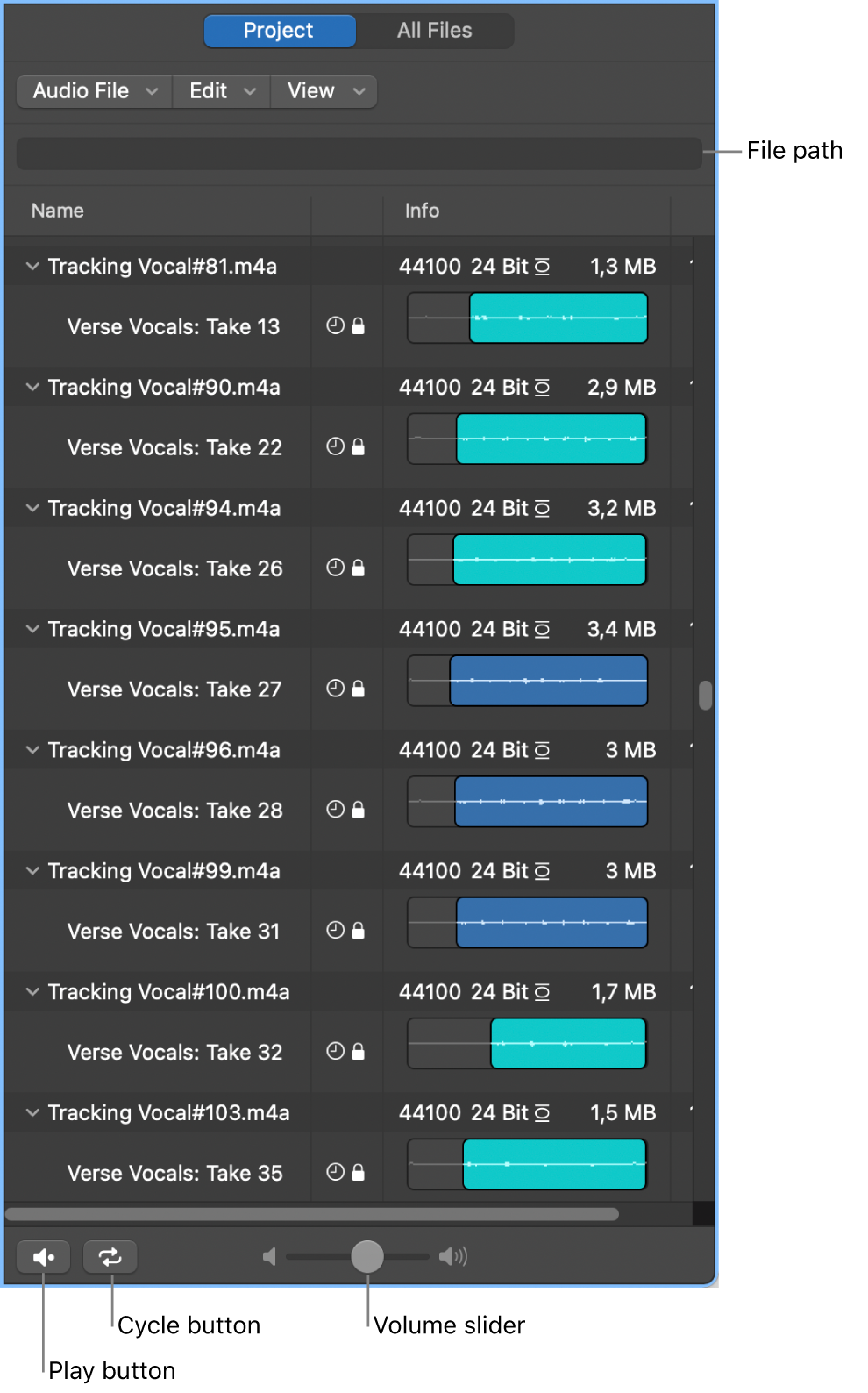 Figure. The Project Audio Browser.