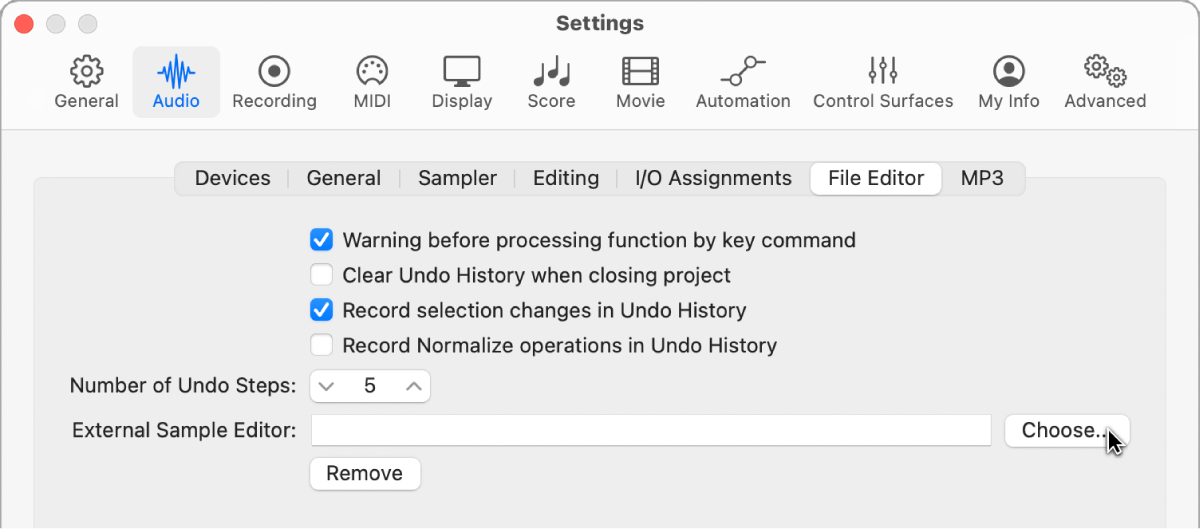 Figure. File Editor pane in the Audio settings.