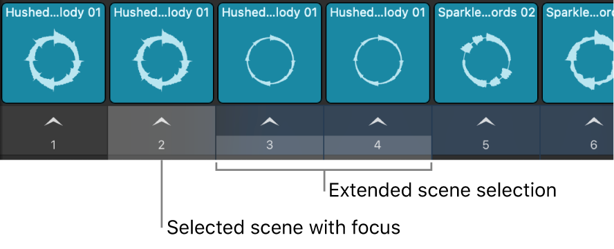 Figure. Multiple selected scenes.