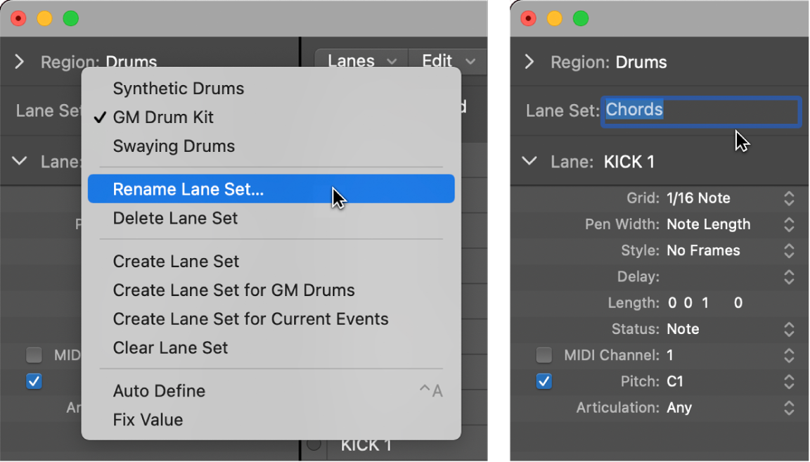 Figure. Entering a Lane Set name in the Inspector.