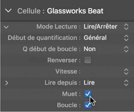 Figure. Case Muet dans l’inspecteur de cellule.