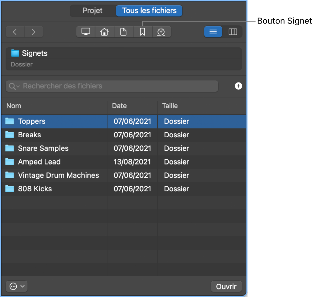 Figure. Navigateur Tous les fichiers montrant le bouton Signet.
