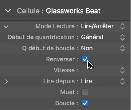 Figure. Case Inverser dans l’inspecteur de cellule.