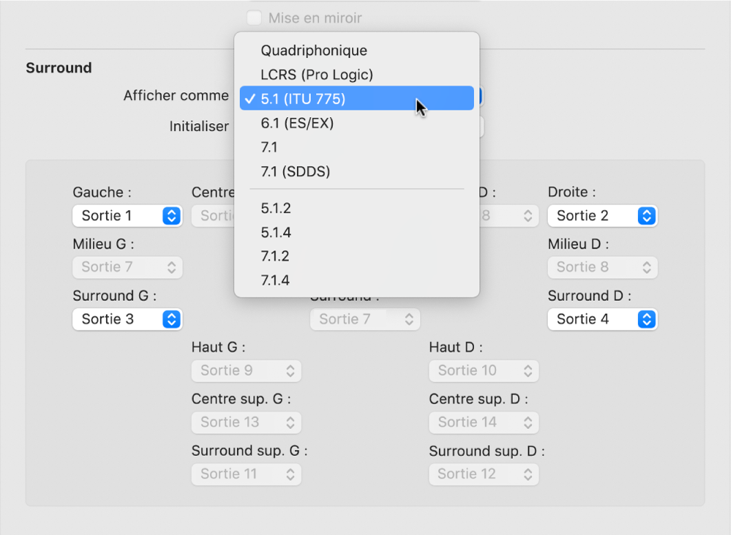 Figure. Réglages Surround.