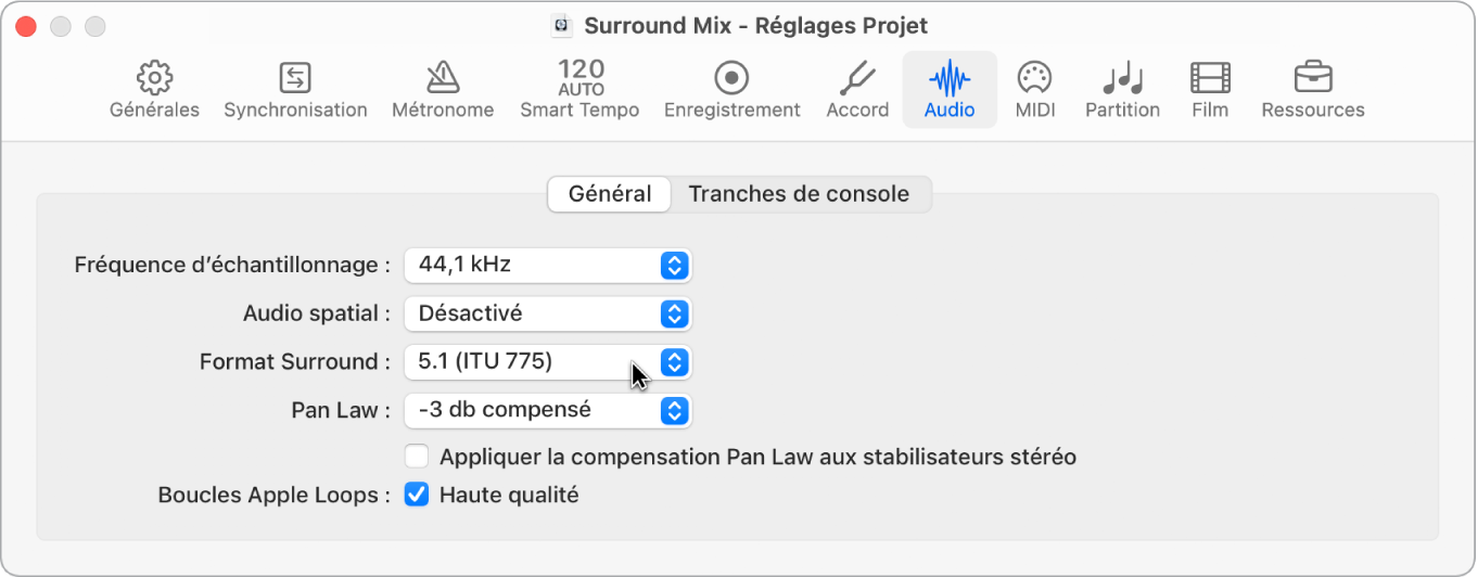 Figure. Sous-fenêtre de réglages Audio du projet.