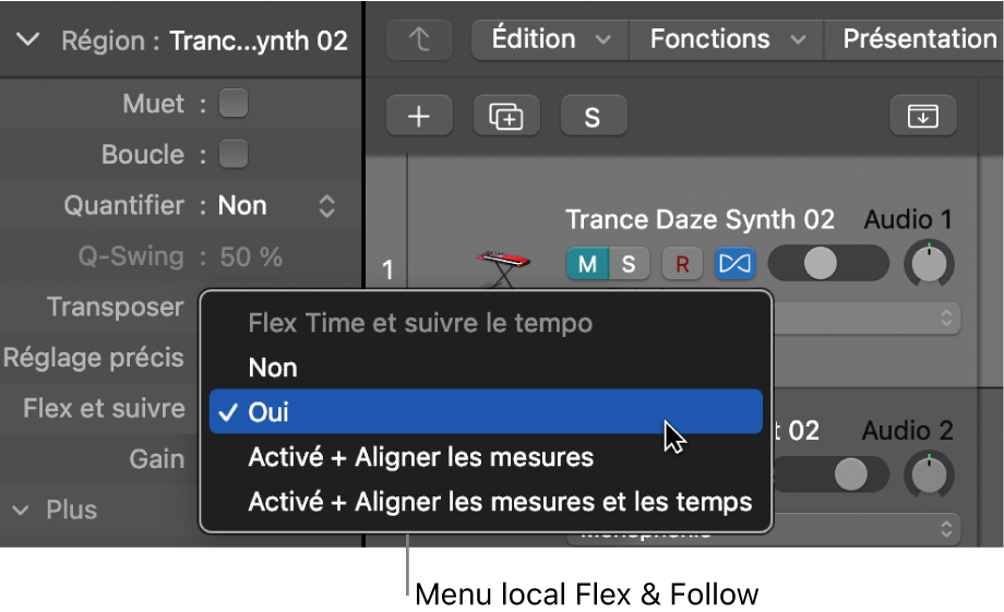 Figure. Menu Flex et suivre dans l’inspecteur de région.