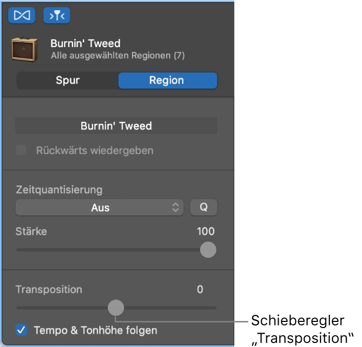 Informationsfenster „Audio-Editor“ im Regionsmodus mit dem Transpositionsregler