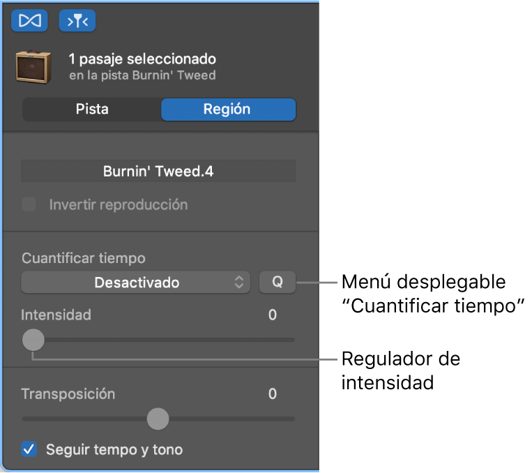 Inspector del editor de audio, con el menú desplegable Cuantizar tiempo y el regulador de intensidad.