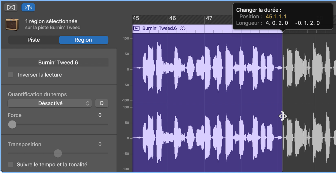 Pointeur d’élagage et bulle d’aide pour l’élagage d’une région dans l’éditeur audio.