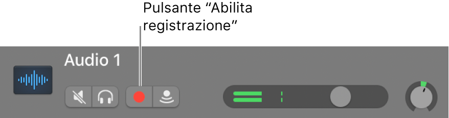 Intestazione traccia con pulsante Abilita registrazione.
