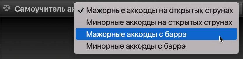 Всплывающее меню «Самоучитель аккордов».