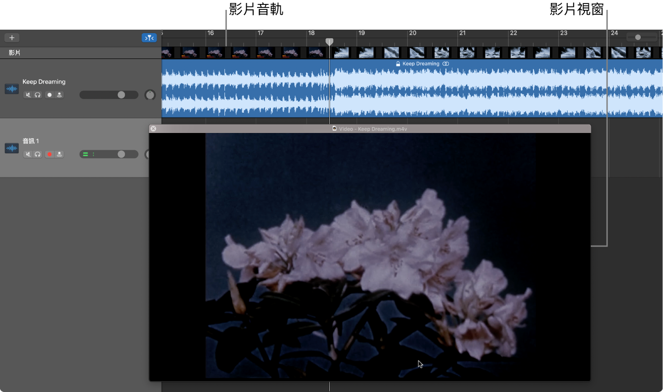 浮動的「影片」視窗和包含影片中音訊的音軌。