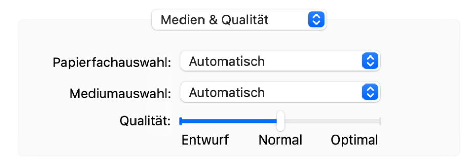 Die Optionen „Medien & Qualität“ mit den Einblendmenüs „Papierfachauswahl“ und„Medientyp“ sowie ein Schieberegler für die Qualität.