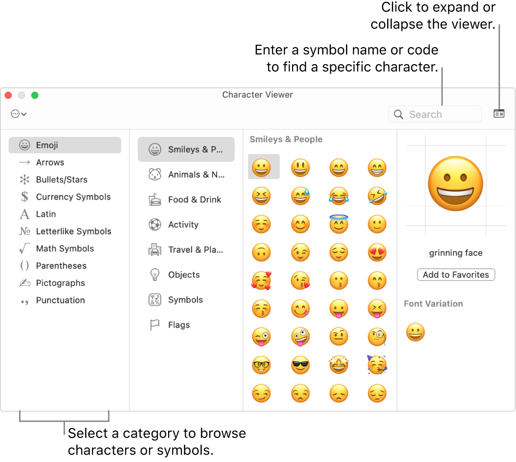 The Character Viewer window. Select a category on the left to browse characters or symbols. In the search field, enter a symbol name or code to find a specific character. In the upper-right corner, click to expand or collapse the viewer.