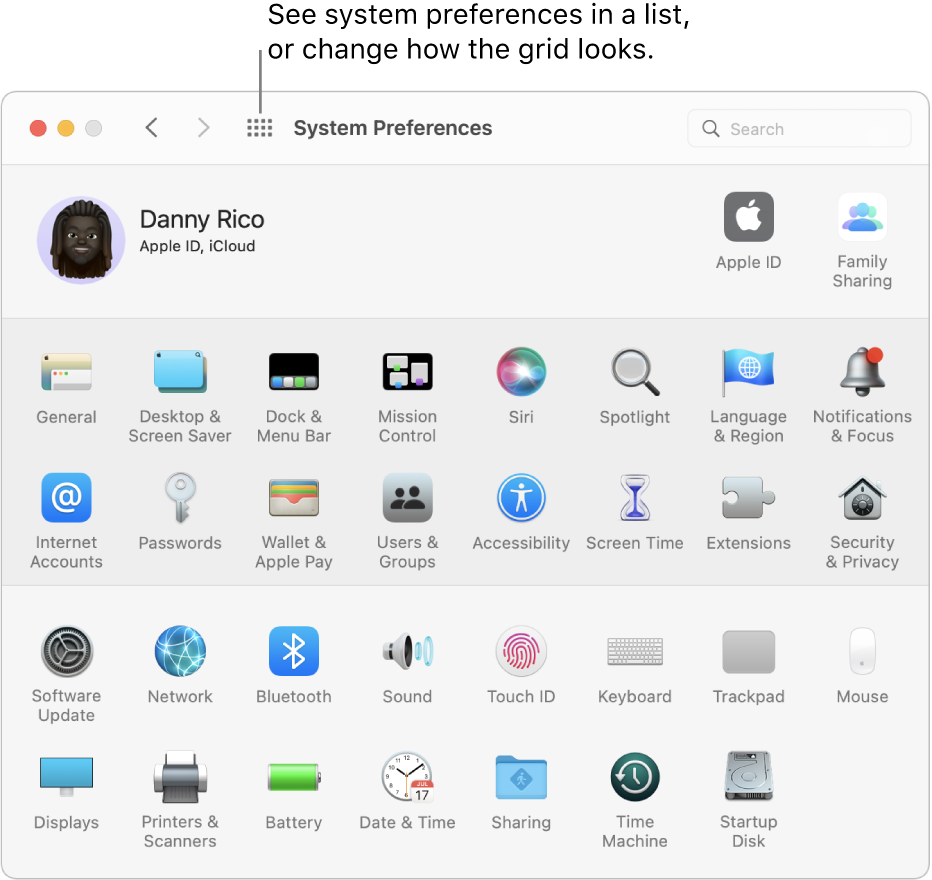 The System Preferences window showing the grid of icons. Click the Show All button in the window’s toolbar to show system preferences as a list, or change how the grid looks.