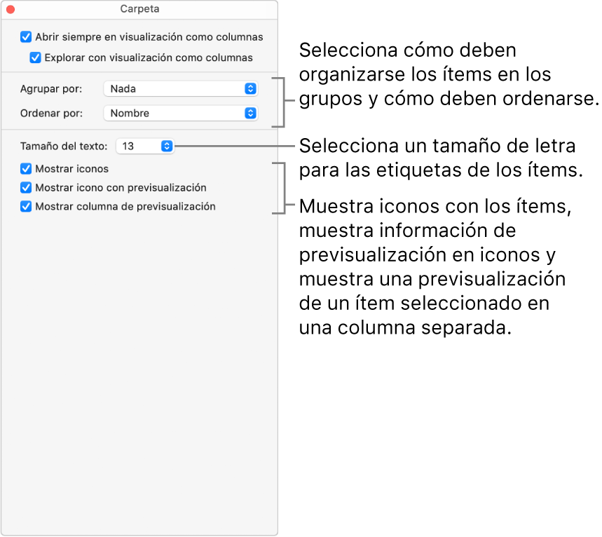 Opciones de visualización como columnas de una carpeta.