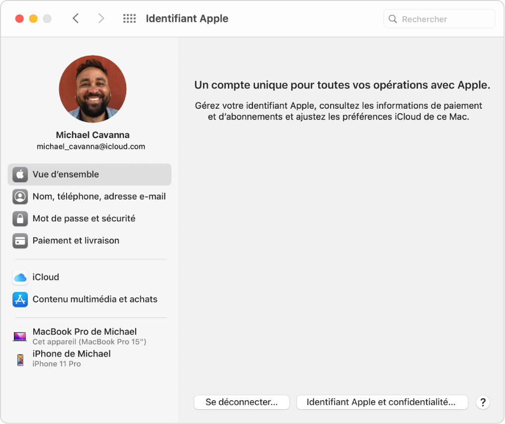 Préférences « Identifiant Apple » montrant une barre latérale de différents types d’options de compte que vous pouvez utiliser et les préférences « Vue d’ensemble » pour un compte existant.