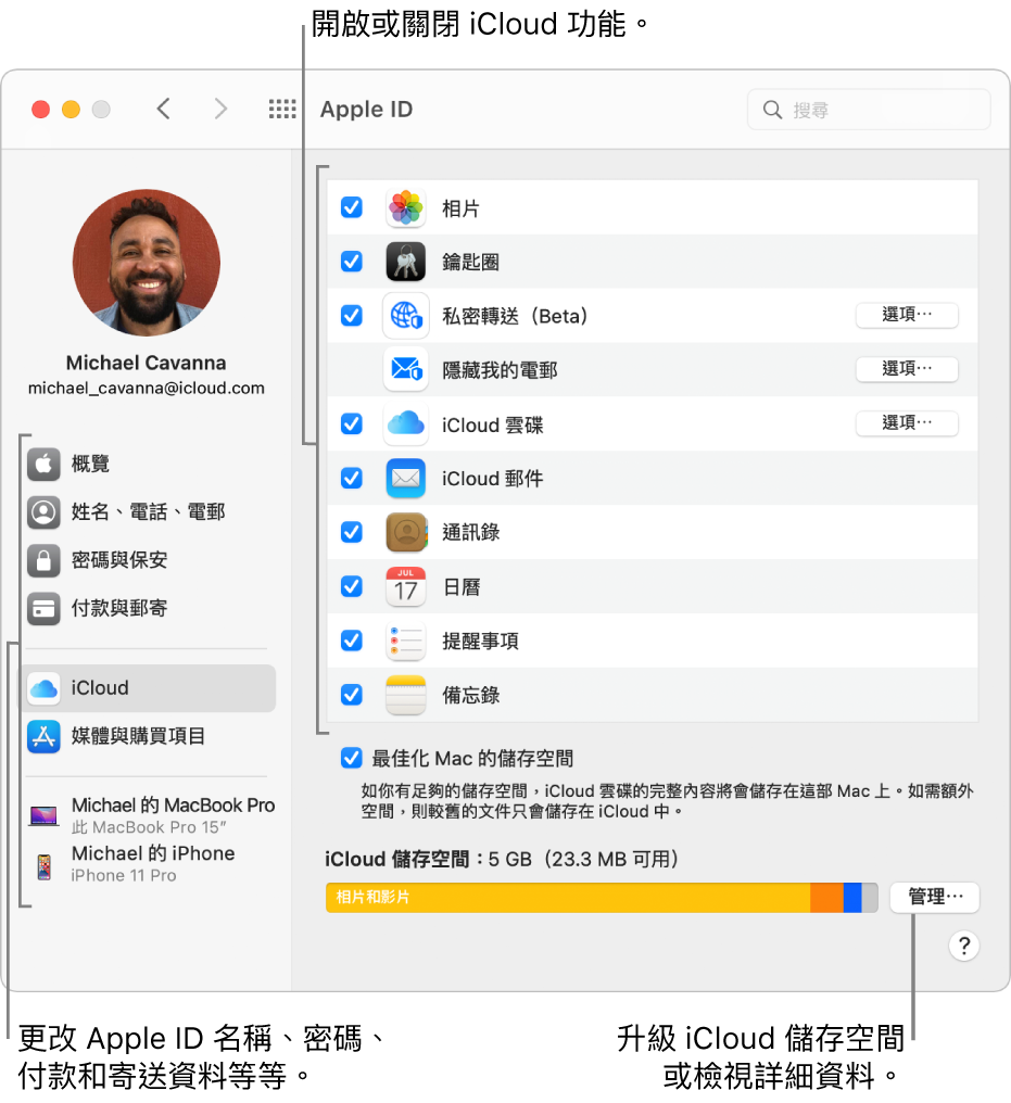 已選取所有功能的 iCloud 偏好設定。