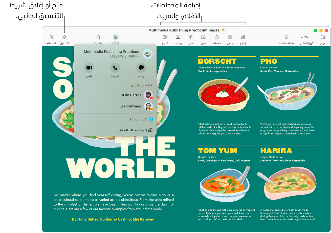 نافذة Pages تعرض تدفق النشاط أسفل زر تعاون في شريط الأدوات، وبها شخصين نشطين. توجد وسائل شرح لإضافة المخططات والأفلام والمزيد في شريط الأدوات، ووسيلة شرح لفتح أو إغلاق شريط التنسيق الجانبي.