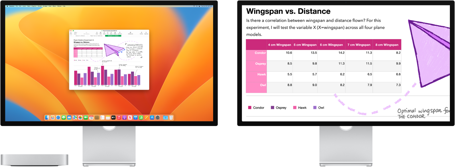 Zoom Display is active on the secondary display, while the screen size stays fixed on the left display.