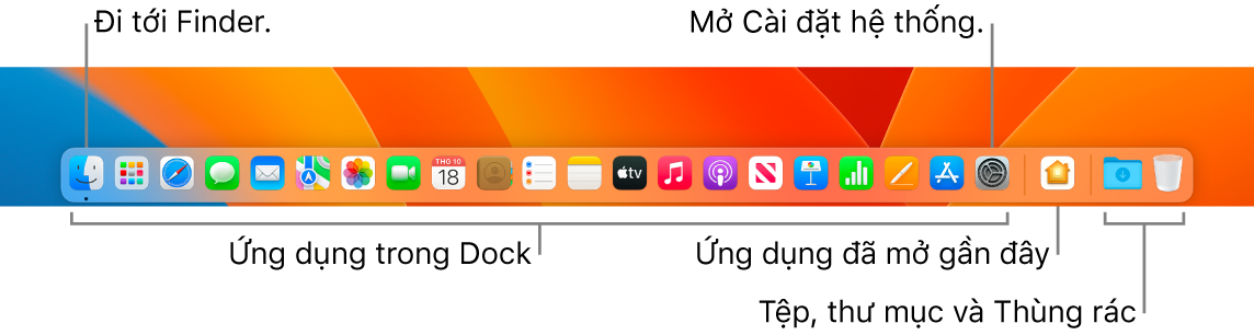 Dock, đang hiển thị Finder, Cài đặt hệ thống và đường thẳng trên Dock chia tách ứng dụng khỏi các tệp và thư mục.