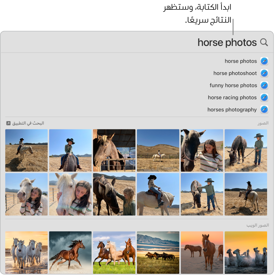 نافذة الباحث تعرض نتائج البحث عن "صور الخيول".
