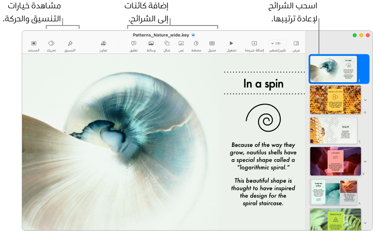نافذة Keynote تعرض متصفح الشرائح على اليمين وكيفية إعادة ترتيب الشرائح، وشريط الأدوات وأدوات التحرير الخاصة به في الأعلى، والزر تعاون بالقرب من أعلى اليسار، والزرين تنسيق وحركة على اليسار.