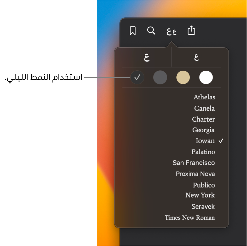 نافذة في تطبيق الكتب تعرض قائمة المظهر.