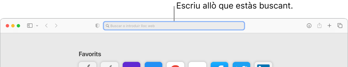 Un fragment d’una finestra del Safari amb el camp de cerca a la part superior de la finestra.