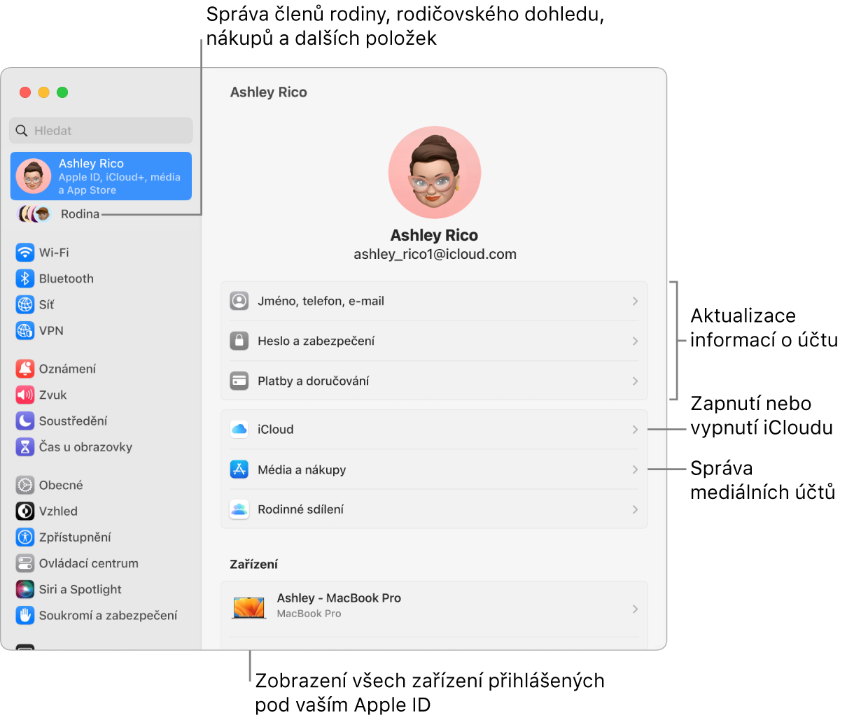 Volby Apple ID v Nastavení systému s popisky u ovládacích prvků pro aktualizaci informací o účtu, zapnutí nebo vypnutí různých funkcí iCloudu a správu účtů pro média a u volby Rodina, která vám umožňuje spravovat členy rodiny, rodičovský dohled, nákupy a další položky