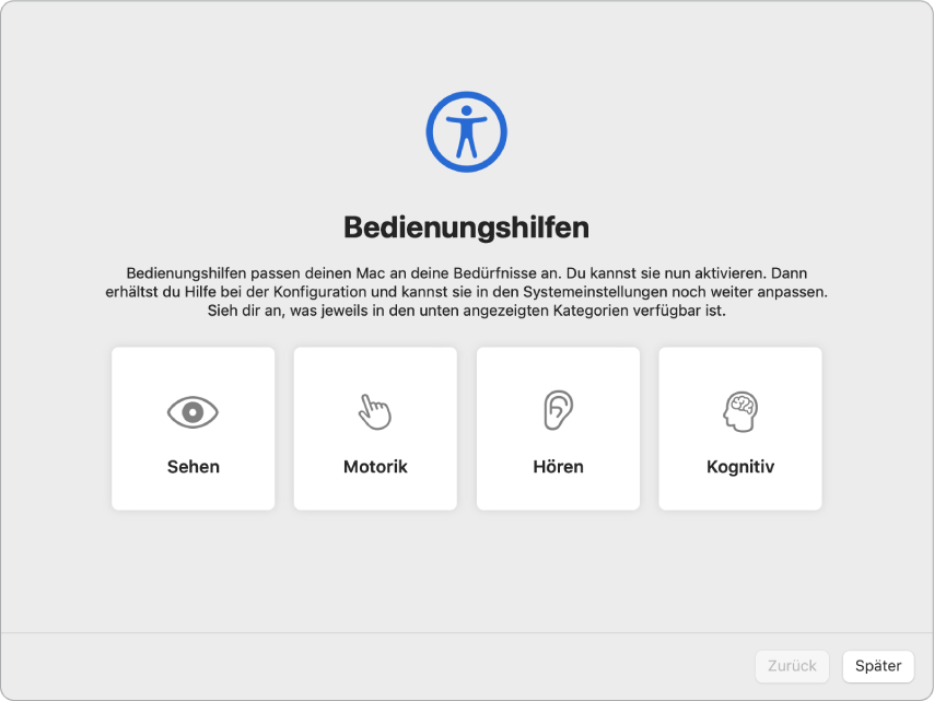 Ein Mac-Bildschirm mit den angezeigten Optionen für die Bedienungshilfen im Systemassistenten.