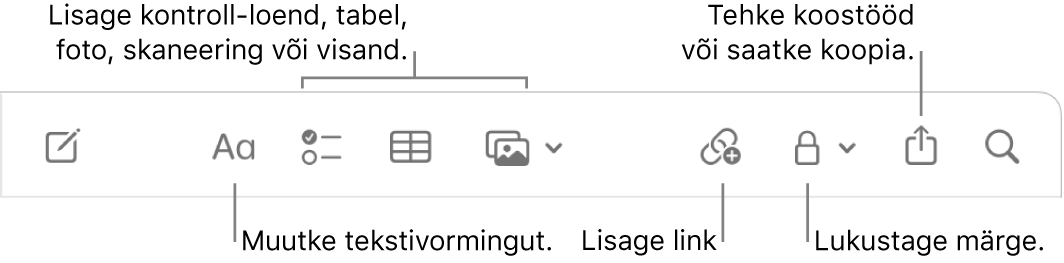 Tööriistariba Notes väljaviikudega tekstivormingu, ülesandeloendi, tabeli, lingi, fotode/meedia, lukustamise, jagamise ning kopeerimise tööriistadele.