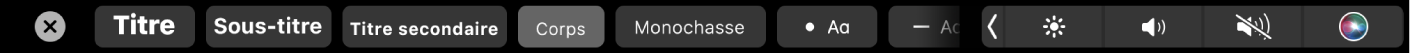 Touch Bar de Notes avec des boutons correspondant aux styles de paragraphe, notamment Titre, Sous-section et Corps, ainsi que des boutons correspondant aux options de liste, comme une puce, un tiret et un numéro.