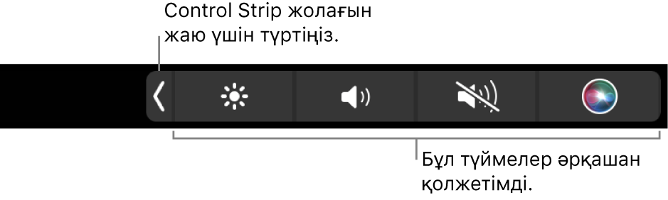 Әрқашан қолжетімді түймелері бар тасаланған Control Strip жолағын көрсетіп тұрған әдепкі Touch Bar тақтасының жарты экраны: ашықтық, дыбыс деңгейі және дыбысты өшіру. Толық Control Strip жолағын көрсету үшін expand түймесін түртіңіз.