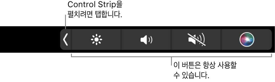 기본 Touch Bar의 일부 화면으로 축소된 Control Strip과 항상 표시되는 밝기, 음량 및 음소거 버튼을 보여줌. 확장 버튼을 탭하여 Control Strip 전체를 표시합니다.