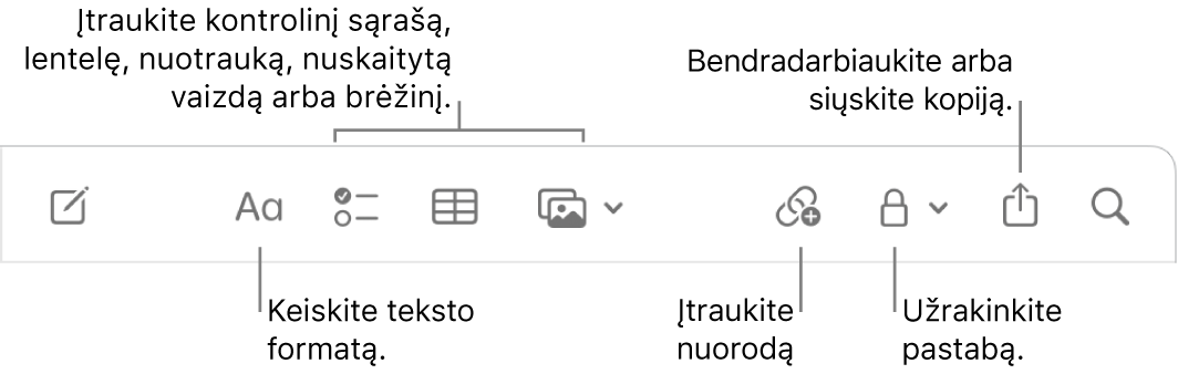 „Notes“ įrankių juosta su išnašomis į teksto formatavimo, kontrolinio sąrašo, lentelės, nuorodos, nuotraukų / turinio, užrakinimo, bendrinimo ir kopijos siuntimo priemones.