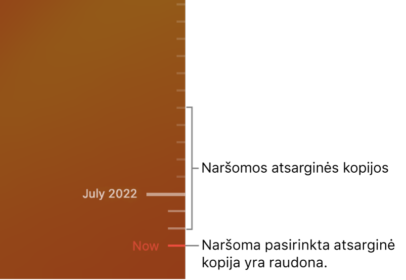 „Time Machine“ atsarginės kopijos laiko juosta.