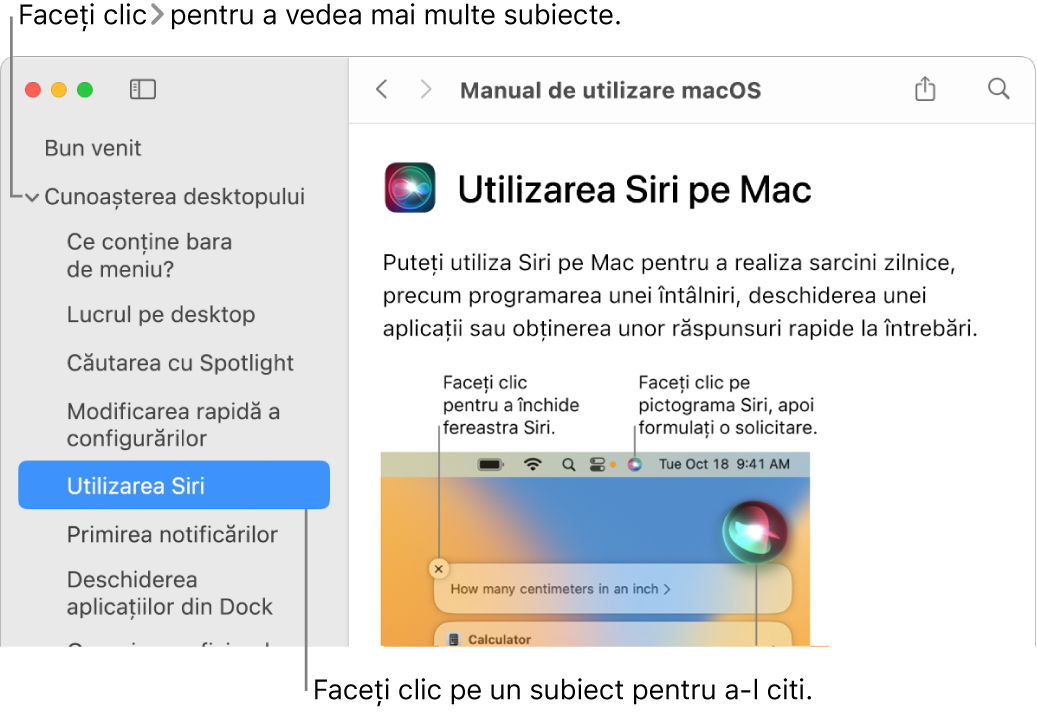 Vizualizator Ajutor afișând modul de vizualizare a subiectelor prezentate în bara laterală și modul de afișare a conținutului unui subiect.