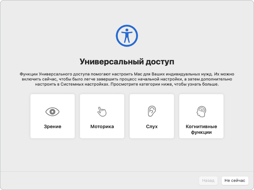 На экране Mac показаны параметры Универсального доступа в Ассистенте настройки системы.