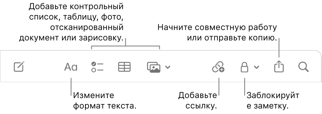 Панель инструментов в приложении «Заметки». Выносками отмечены инструменты форматирования, добавления списка, таблицы, ссылки, мультимедиа, кнопка для установки пароля, кнопка «Поделиться» и кнопка «Отправить копию».