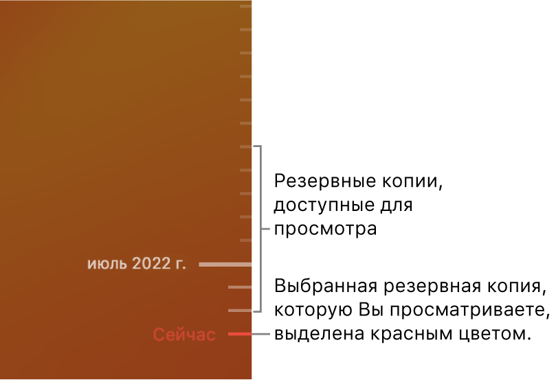 График резервного копирования Time Machine.