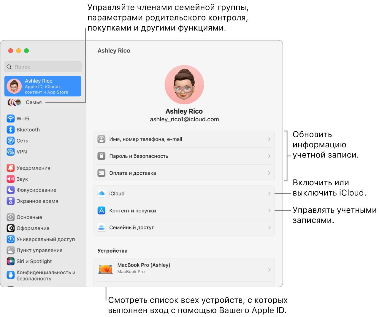 Настройки Apple ID в Системных настройках. Сносками показаны параметры обновления сведений учетной записи, включения или выключения функций iCloud и управления настройками учетных записей для мультимедиа. В настройках Семейного доступа показаны параметры управления устройствами членов семьи, родительским контролем, покупками и многим другим.