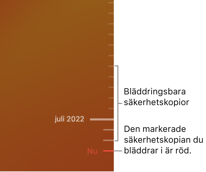 Tidslinjen för säkerhetskopiering med Time Machine.