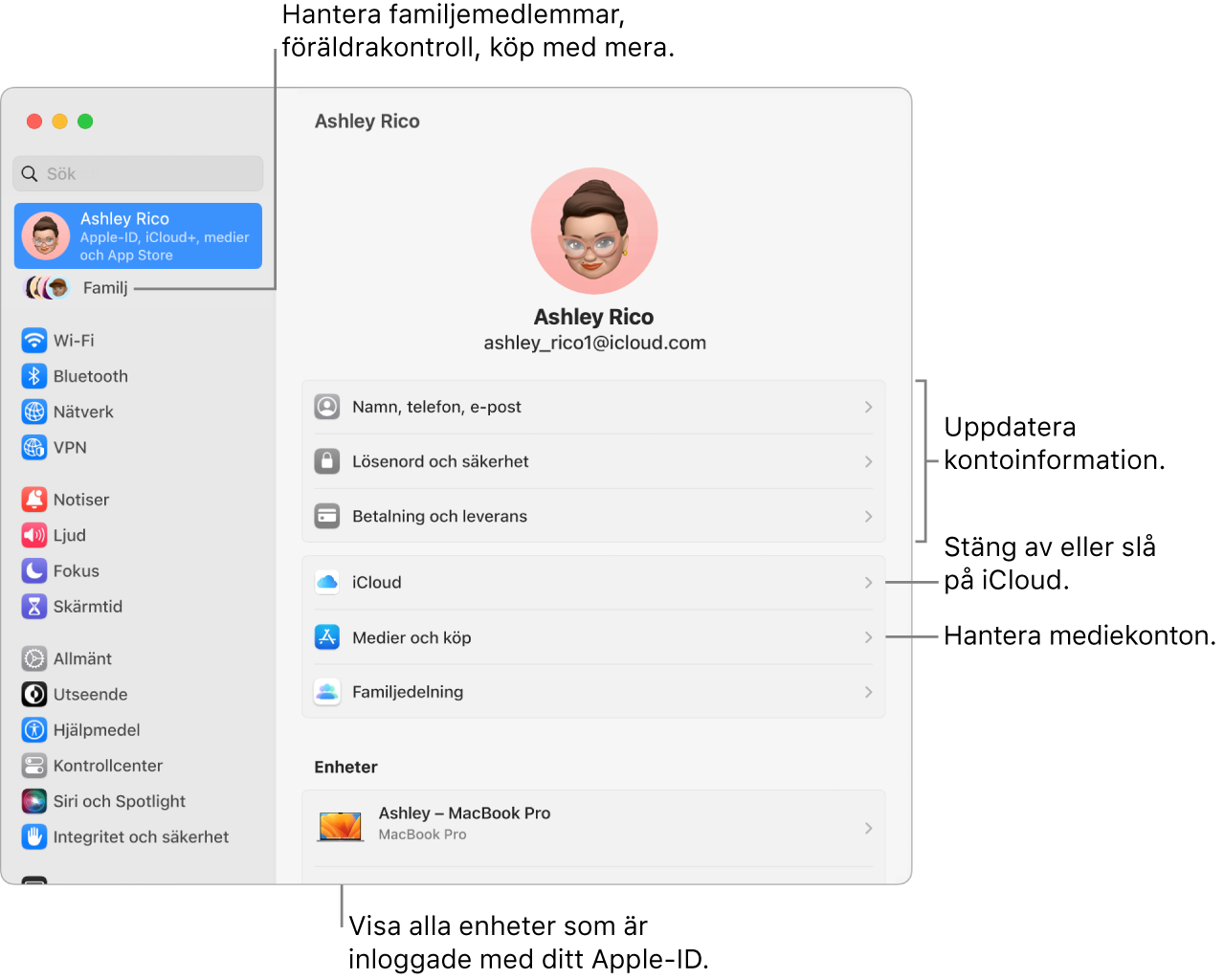 Apple‑ID-inställningarna i Systeminställningar med streck som pekar mot alternativ för att uppdatera kontoinformation, slå på eller stänga av iCloud-funktioner, hantera mediekonton och Familj där du kan hantera familjemedlemmar, föräldrakontroller, köp med mera.