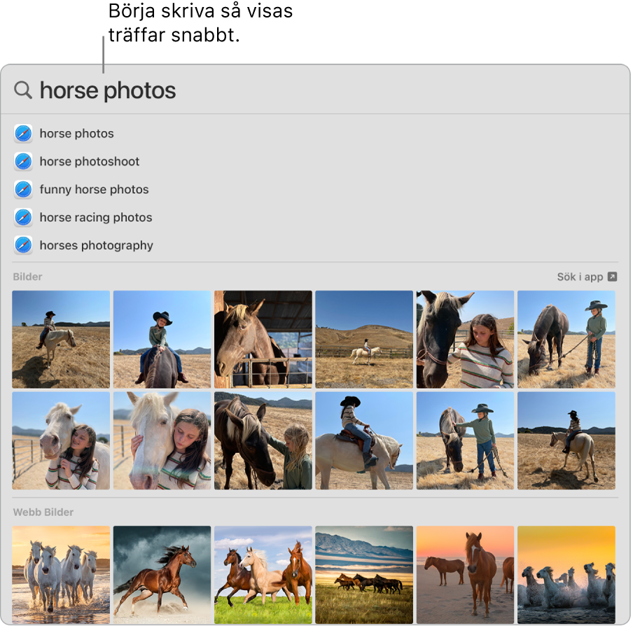 Spotlight-fönstret som visar sökträffar för ”häst bilder”.