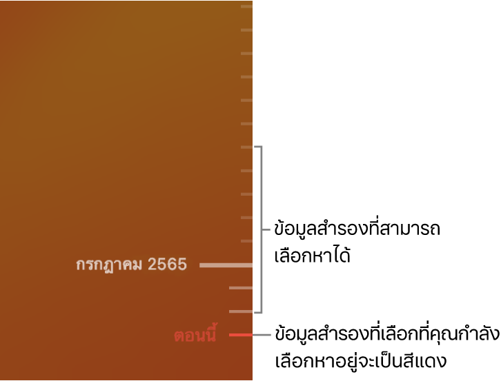 ไทม์ไลน์ข้อมูลสำรอง Time Machine