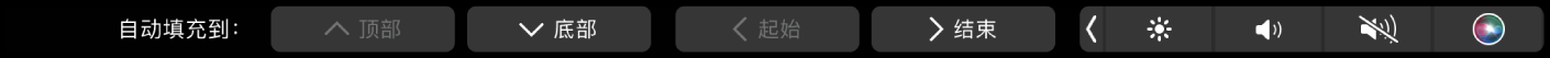 显示“自动填充”按钮的 Numbers 表格触控栏。这些选项包括顶部、底部、开始和结束。