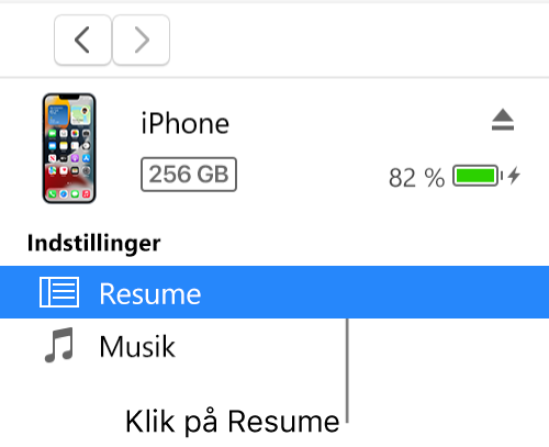 Enhedsvinduet med Resume valgt i indholdsoversigten til venstre.
