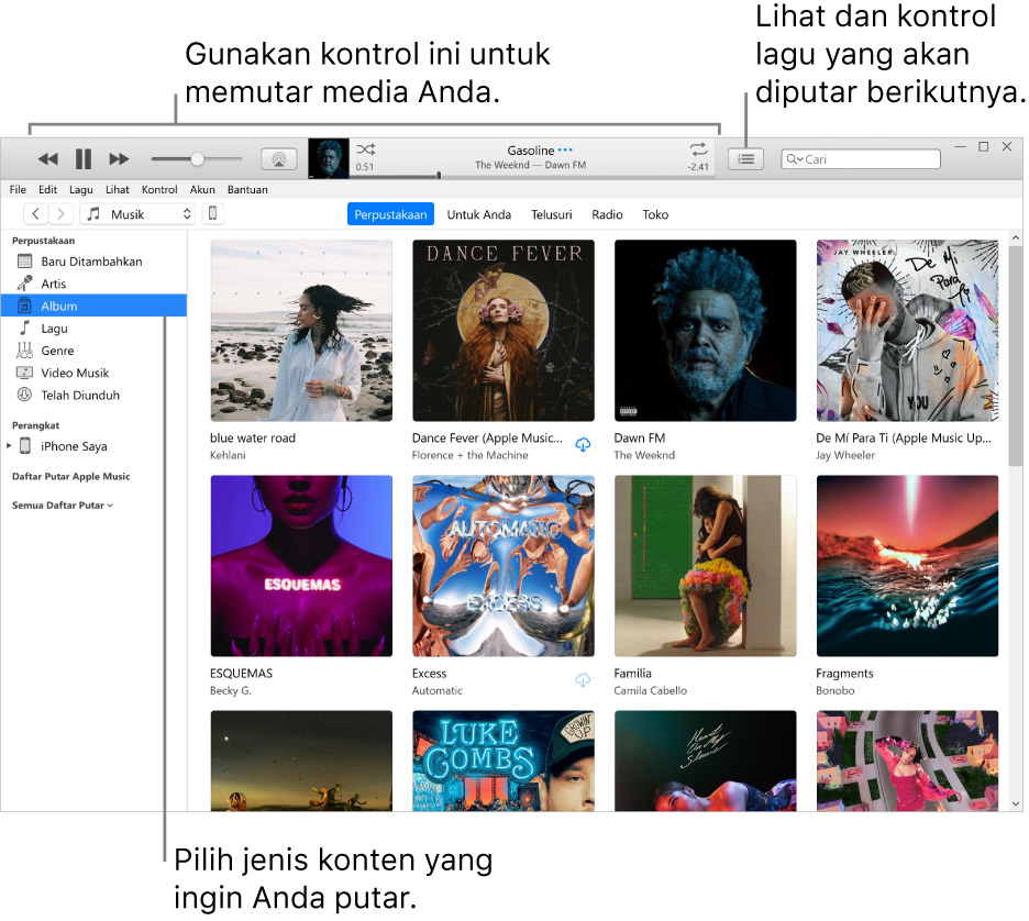 Jendela utama Perpustakaan iTunes: Di navigator, pilih jenis media untuk diputar (seperti Musik). Gunakan kontrol di spanduk pada bagian atas untuk memutar media, dan gunakan menu pop-up Berikutnya di sebelah kanan untuk melihat perpustakaan dengan cara yang berbeda.