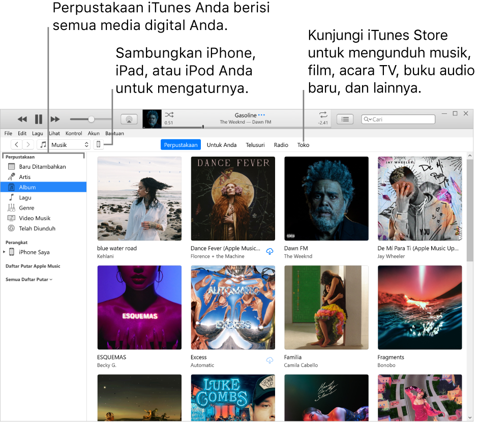 Tampilan jendela iTunes: Jendela iTunes memiliki dua panel. Panel di sisi kiri adalah bar samping Perpustakaan yang berisi semua media digital Anda. Di sisi kanan, pada area konten yang lebih besar, terdapat pilihan menarik yang bagi Anda—misalnya, kunjungi perpustakaan atau halaman Untuk Anda, telusuri musik dan video iTunes yang baru, atau kunjungi iTunes Store untuk mengunduh musik, film, acara TV, buku audio baru, dan lainnya. Di kanan atas bar samping Perpustakaan terdapat tombol Perangkat yang menunjukkan bahwa iPhone, iPad, atau iPod Anda terhubung ke PC.